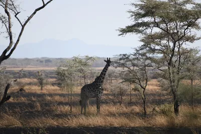 DSC_3426 (Large).JPG